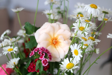 Handpicked flowers from a garden, arranged in a vase. Selective focus.