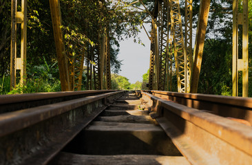 Fototapeta premium bridge in the park