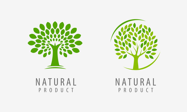 Natural product logo. Tree symbol or label vector illustration