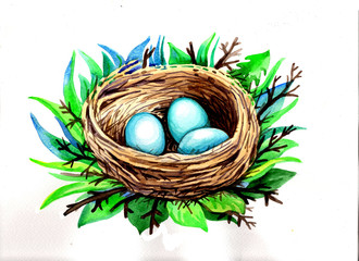 watercolor drawing nest with eggs