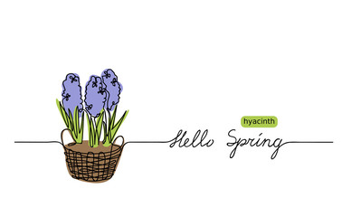 Hyacinth vector sketch and lettering Hello Spring. First flowers one continuous line drawing. Hello Spring  web banner, background,greeting. 