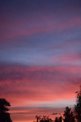 Fototapeta na wymiar clouds on sunset background