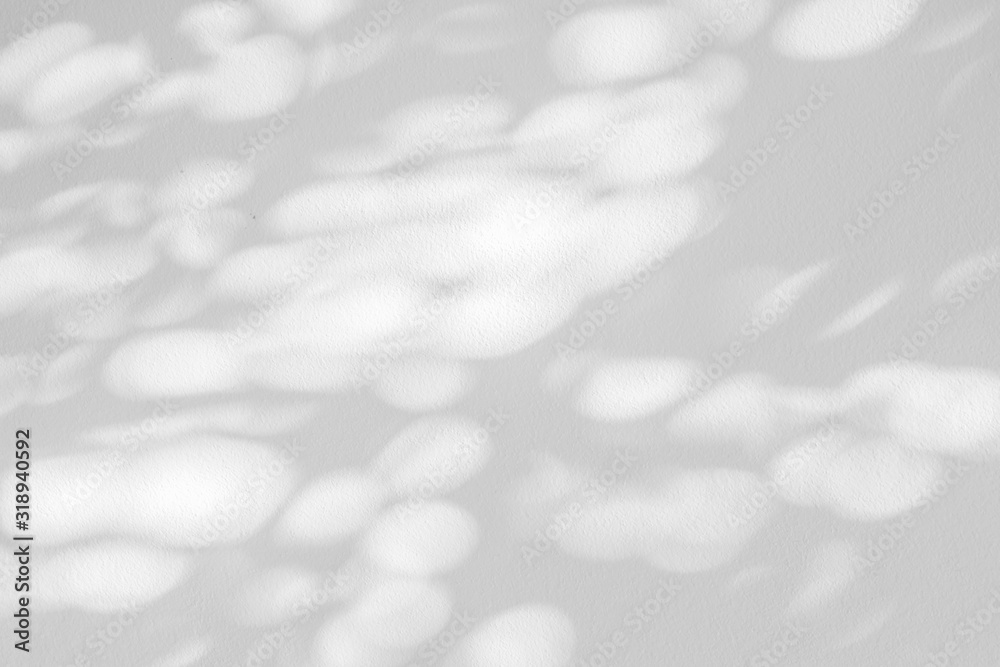 Poster nature gray shadow and light abstract background. leaf and tree shadows bokeh with sunlight on white