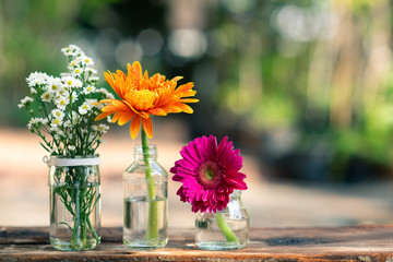 Colorful flower in crystal vases with greenery background.