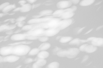 Nature gray shadow and light abstract background. Leaf and tree shadows bokeh with sunlight on white concrete wall - obrazy, fototapety, plakaty