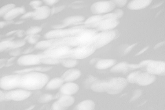 Nature gray shadow and light abstract background. Leaf and tree shadows bokeh with sunlight on white concrete wall
