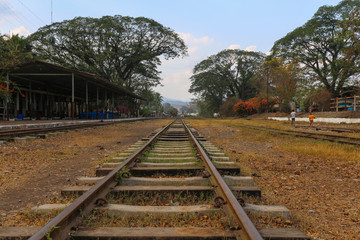 Fototapeta na wymiar Railway in the forest
