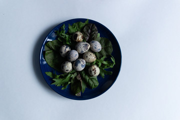 Fresh quail eggs in the nest of mixed salad leaves on blue plate on white background