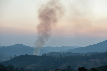 Smoke from the forest in mountain