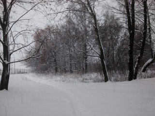 snowy path in winter time