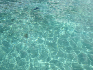 Fototapeta na wymiar Background of transparent and turquoise waters with aquatic vegetation. Idyllic Caribbean landscape.