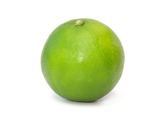 Isolated of fresh green lemon or lime  fruit on white background with clipping path.