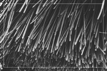 abstract background black and white color.