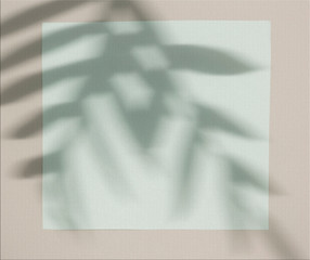 mockup with the shadow of a twig, pastel gamma