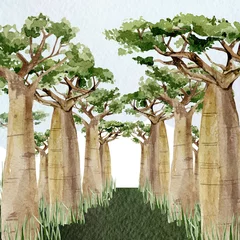  Watercolor Baobab tree banner. Hand drawn illustration of nature Africa, southern trees in the savannah for greeting card, postcard, template копия. © Anna