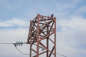 Pigeon flock perched on the old rusty high voltage tower against cloudy sky, in retro style