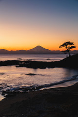 Fototapeta premium 富士山 （立石公園から）