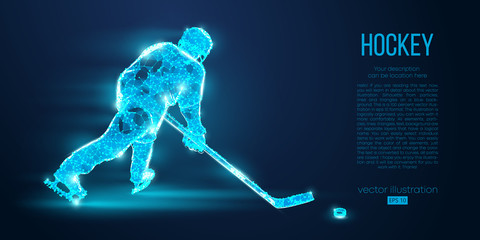 Abstract silhouette of a hockey player from particles. Dots, lines, triangles text color effects and background on a separate layers. Low poly neon wire outline geometric polygonal vector illustration © matrosovv