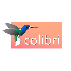 Colorful drawing of birdies colibri. Waving its wings on a red background. Vector isolated illustration for logo or emblem.
