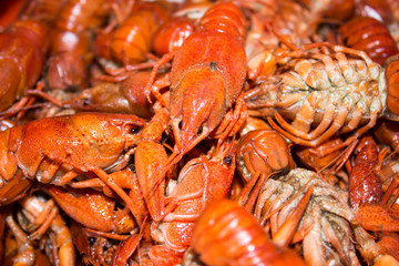 Ready-made crayfish close-up
