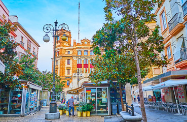 The flower stalls in Old Town of Cadiz, Spain © efesenko