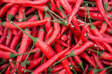 Mix Red Chilli organic farm on  tray, thailand market.