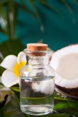 Coconut oil in a bottle with coconuts, flower Plumeria frangipani and green palm tree leaf. Healthy Food, skin care concept.