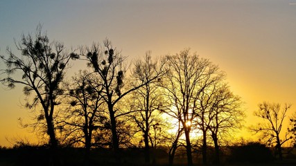 Fototapeta na wymiar Goldener Sonnenuntergang