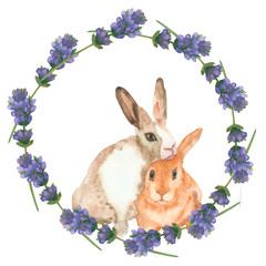 Watercolor hand painted nature wild animal composition with beige and ginger rabbits pair in the purple lavender flowers on the green branches circle frame on the white background for cards