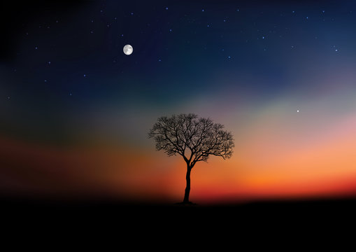 Pendant la saison d’hiver, le jour se lève sur un paysage de campagne, avec pour unique décor un arbre sans feuille sous un ciel étoilé.