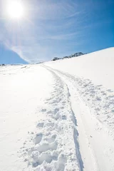Fotobehang Spectacular winter mountain view with ski trail ascending a slope. © anzebizjan