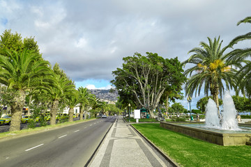 Fototapeta na wymiar Street in Madeira Portugal full of greenery and palm trees