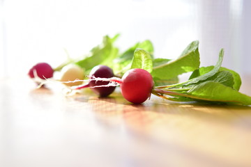 ラディッシュ,カブ, 赤カブ,radish
