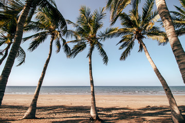 Palmen Strand Meer Oman