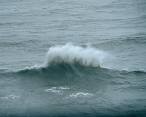 aves volando en el mar 