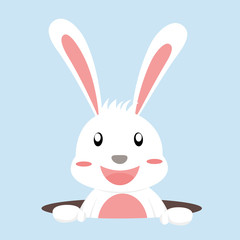 Vector and illustration of easter white rabbit, cut bunny cartoon characters.
