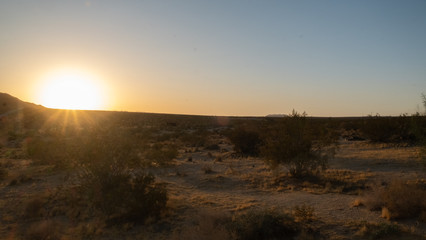 sunset on the Johsua tree national park desert, california