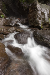 Fototapeta na wymiar Waterfall/stream in a deep rain forest.