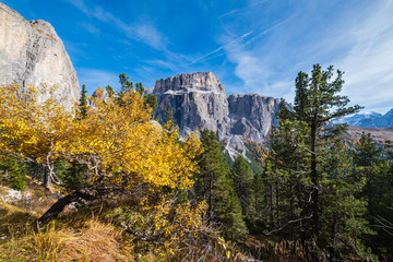 Autumn alpine Dolomites rocky  mountain scene, Sudtirol, Italy. Peaceful view near Sella Pass.