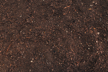 Fertile gardening soil top view