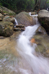 Waterfall/stream in a deep rain forest.