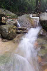 Fototapeta na wymiar Waterfall/stream in a deep rain forest.