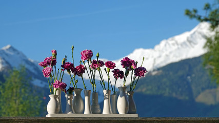 pink carnations in a white vase with alps in the background on a sunny day