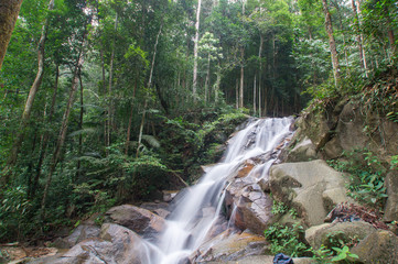 Waterfall/stream in a deep rain forest.