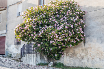 Ancient village of Posada