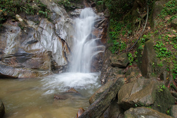 Waterfall/stream in a deep rain forest.