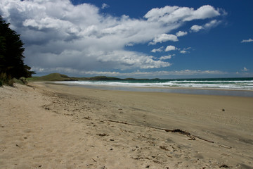 Sand, sea, and blue skies in New Zealand