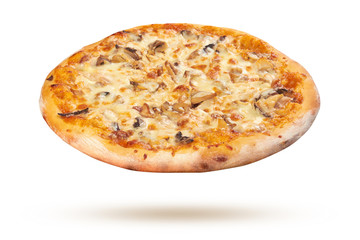 Pizza on a white background