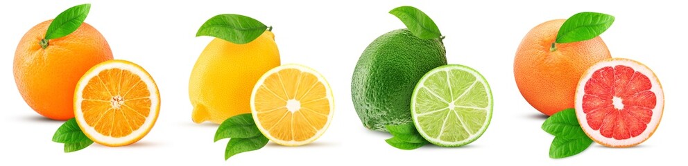 Fresh orange, lemon, lime, grapefruit whole and cut in half slice with leaf