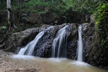 Waterfall/stream in a deep rain forest.
